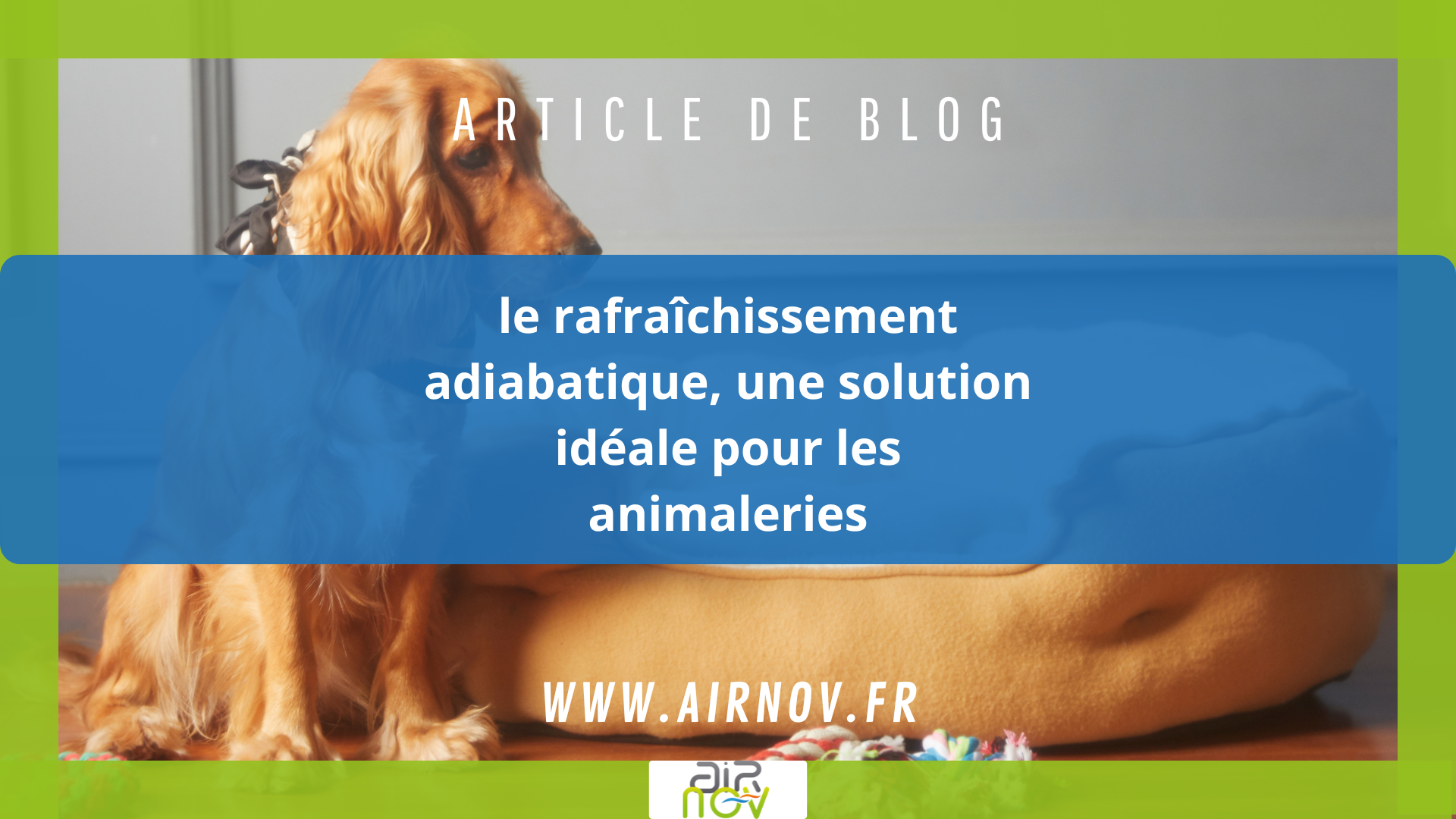 Le rafraîchissement adiabatique, une solution idéale pour les animaleries